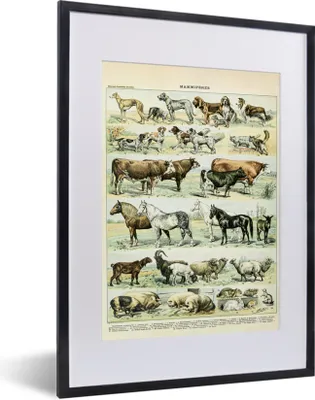 Produktbild von MuchoWow® Gerahmtes Poster Tiere - Pferde - Illustration - Vintage - Adolphe Millot 30x40 cm - Poster mit Schwarzem Bilderrahmen Wandposter Rahmen Foto Bilder - Wandposter Schlafzimmer