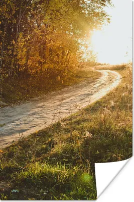 Produktbild von MuchoWow® Poster Weg - Natur - Baum 120x180 cm - Kunstposter