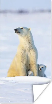 Produktbild von MuchoWow® Poster Eisbär - Schnee - Jungtiere 40x80 cm - Dekoration