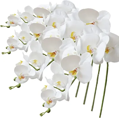 Productafbeelding van Kunstorchidee Phalaenopsis - Nepbloemen Orchidee - Woondecoratie - Real Touch Polyurethanmateriaal - 105 cm - Wit