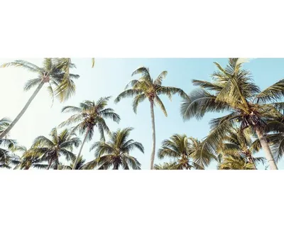 Produktbild von Glasbild Palms On Beach II GLA2140 125x50 cm