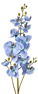 Image de Clayre & Eef Fleur artificielle 116 cm bleu plastique
