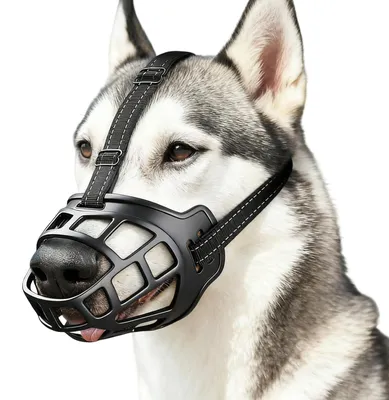 Produktbild von Verstellbare Hundeleine für mittelgroße und große Hunde