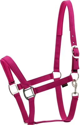 Produktbild von Horse Guard Nylonhalfter für Pferde - pink - Shetty