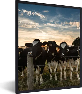 Produktbild von MuchoWow® Gerahmtes Poster Tiere - Kuh 60x80 cm - Poster mit Schwarzem Bilderrahmen Wandposter Rahmen Foto Bilder - Premium - Wanddeko Wohnzimmer