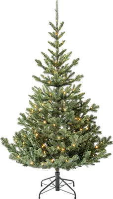 Image de Evergreen Nobilis M+ sapin de Noël artificiel avec éclairage 180 cm