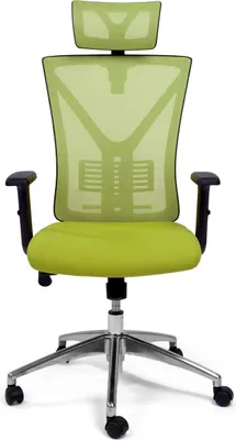 Produktbild von TPFLiving® Premium Bürostuhl schwerlast Schreibtischstuhl ergonomischer Chefsessel Drehstuhl mit Mesh Netz belastbar bis 150 kg, Grün