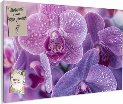 Produktbild von Magnettafel 60x40cm magnetisch & beschreibbar Metall-Board - Orchideenblüten