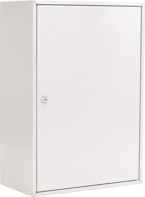 Immagine prodotto di Armadio a chiave S 300 H550xL380xP205mm Serratura a cilindro a 1 porta n. di ganci 300 ROTTNER