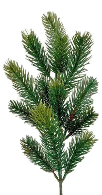 Produktbild von Künstlicher TANNENZWEIG mit 13 Trieben. Ca 50 cm.