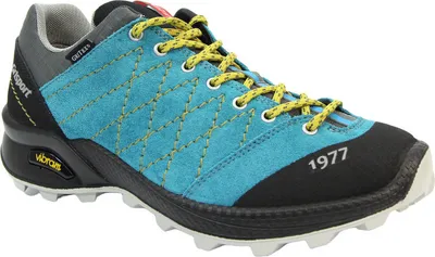 A single hiking shoe shown from a side-diagonal angle.