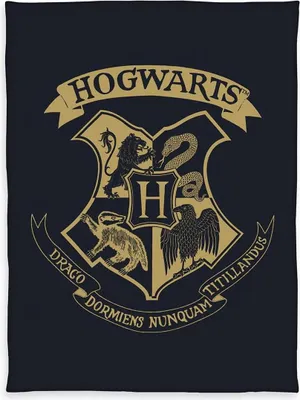 Produktbild von Herding Harry Potter Wellsoft-Flauschdecke, 150x200 cm, 100% Polyester, Wellsoft