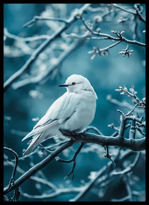 Obrázok produktu pre Plagát 39,5 x 55 cm Pearl Bird