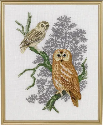 Produktbild von Eva Rosenstand Kreuzstich Set "Eulen", Zählmuster, 31x39cm