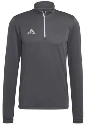 Produktbild von adidas Entrada 22 Training Oberteil M TEGRFO