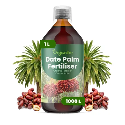 Produktbild von Dattelpalmen Flüssigdünger 1L – 2-1-8 NPK – Flüssigdünger Für Palmen – Für Blätter & Kräftiges Wachstum – Fördert Wurzeln & Vitalität – Organifer