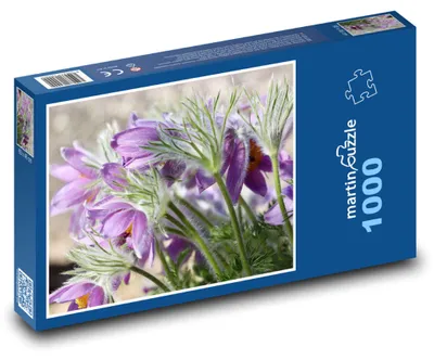 Obrázek produktu pro Puzzle 1000 Krásný koniklec v květu - martinpuzzle