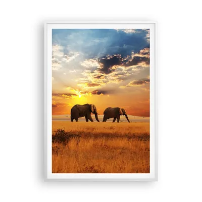 Produktbild von Gerahmtes Poster - Weißer Rahmen - Elefanten Safari Dschungel Busch - 70x100 cm - Wand Bild - Wanddeko - Wandbilder - Wandposter - Bilderrahmen - Bilder - Kunstdruck - Wandbild - P2WPA70x100-3150