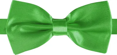 Produktbild von Grüne Satin Fliege aus Polyester Deluxe Einheitsgröße für Erwachsene mit Gummiband