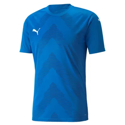 Produktbild von Puma Teamglory Jersey 70501702 Herren