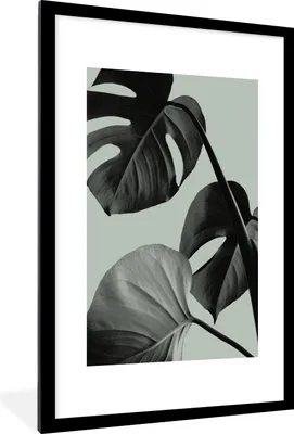 Produktbild von MuchoWow® Gerahmtes Poster Monstera - Blätter - Grün - Stilleben 60x90 cm - Poster mit Schwarzem Bilderrahmen Wandposter Rahmen Foto Bilder - Dekoration - Wandposter Wohnzimmer - Hochwertig