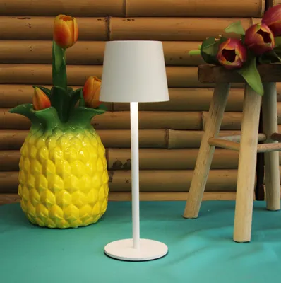 Produktbild von Anna Collection Tragbare Tischleuchte - weis - innen und ausen - 27 cm