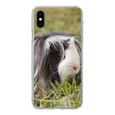 Produktbild von MuchoWow® Handyhülle Schutzhülle Hülle für iPhone Xs Langhaar-Meerschweinchen Silikon Softcase Handy Hülle - Handytasche