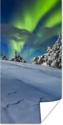 Produktbild von MuchoWow® Poster Nordlichter - Schnee - Baum - Winter 75x150 cm - Dekoration für die Wände