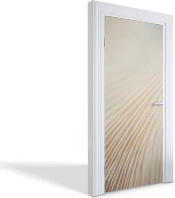 Produktbild von Türfolien Design Selbstklebende Wandsticker Türtapeten - Pilzkiemen - 95 x 205 cm