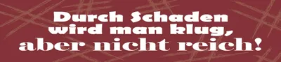 Produktbild von vianmo Holzschild 10x46 cm Durch Schaden wird man klug