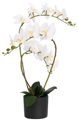 Obrázok produktu pre Umelá orchidea s kvetináčom Biela 45 x 15 x 65 cm