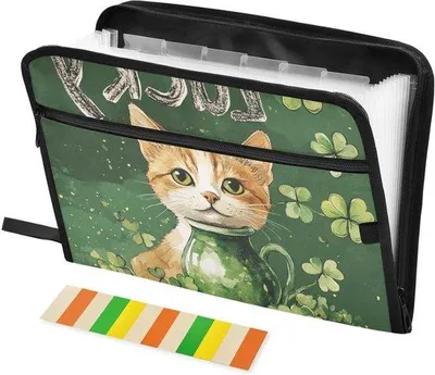 Produktbild von A4 Bestandsmap Dokumenten Organizer - 13 Fächer - 36x27x2cm