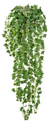 Produktbild von Künstlicher Efeu Engl. MINI-EFEURANKE ca 115cm. 618 Blatt