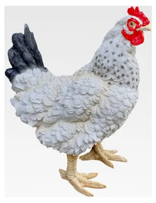 Produktbild von Huhn Gartenfigur 36 cm stehend weiß – Tierfigur aus Kunstharz für den Außenbereich