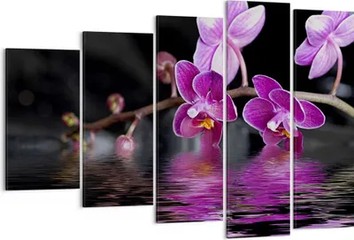 Produktbild von Bild auf Leinwand - Leinwandbild - Asien exotisch orchidee blume - 150x100cm - Wand Bild - Wanddeko - Leinwanddruck - Bilder - Kunstdruck - Leinwand bilder - Wandkunst - EG150x100-2312