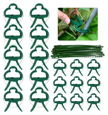 Produktbild von 90 Stück Pflanzenclips für die Unterstützung von Tomaten, Rosen, Gurken und anderen Kletterpflanzen, inklusive 30 Pflanzenbindern