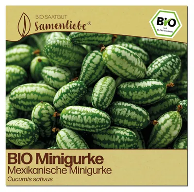 Produktbild von Samenliebe  Gurke Samen | Mexikanische Minigurke - süß-säuerliche & mini - samenfestes  Saatgut