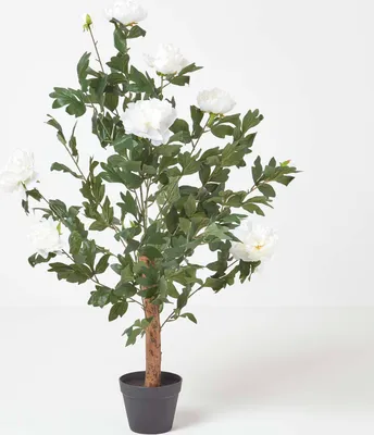 Produktbild von HOMESCAPES Künstlicher Pfingstrosen-Baum, creme