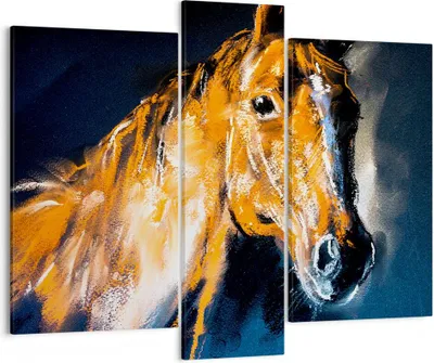 Produktbild von Bild auf Leinwand - Leinwandbild - Pferd Natur Tier - 95x80cm - Wand Bild - Wanddeko - Wandbilder - Leinwanddruck - Bilder - Kunstdruck - Wanddekoration - Leinwand bilder - Wandkunst - CB95x80-3425