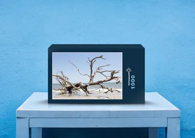 Produktbild von hansepuzzle 20457 - Strand-Baum Puzzle, 1000 Teile, Natur, 60,0 x 46,0cm mit hochwertiger Aufbewahrung, Kartonbox und wiederverschließbarem Beutel