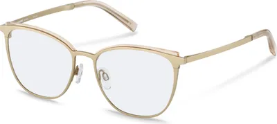 Produktbild von RODENSTOCK R7125 (D000) Optische Fassung