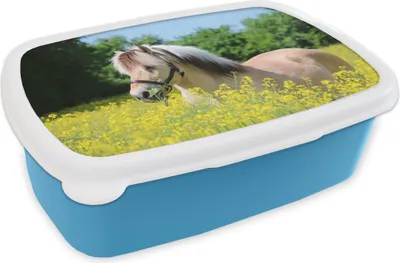Produktbild von KitchenYeah® Lunchbox Brotzeit Brotdose 17x11 cm Pferd - Blumen - Gelb Kinder Brotzeitdose - Lunch - Kunststoff  - Brotbüchse - Sandwichbox - Lunchbox für Kinder