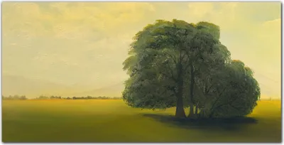 Produktbild von Coloray Bild aus Leinwand 140x70 Leinwand Dekoration - Malerei Baum Himmel Feld