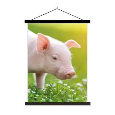 Produktbild von MuchoWow® Textilposter Tiere - Ferkel - Schwein 90x120 cm mit schwarzem Rahmen - Dekoration