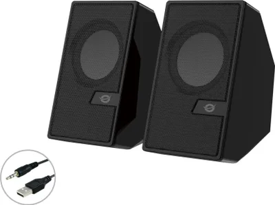 A pair of black computer speakers shown from a front-side angle.
