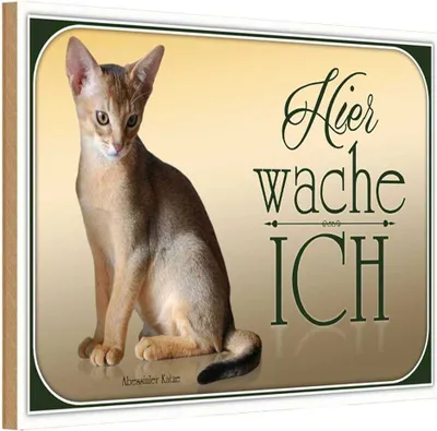 Produktbild von vianmo Holzschild 20x30 cm Katze Abessinier hier wache ich Tier Haustier