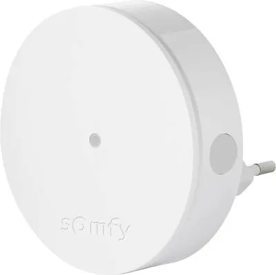 Zdjęcie produktu dla Somfy 2401495, Biały, Status, 89 mm, 30 mm, 132 g, 1 szt.