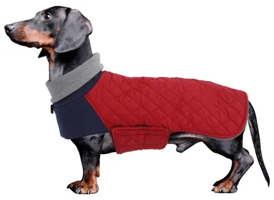 Produktbild von Elzusha – Warmer Wintermantel für Hunde mit Geschirröffnung, in Rot