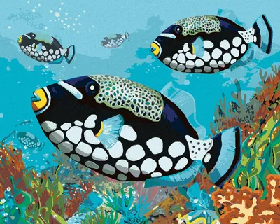 Produktbild von Zuty - Malen nach Zahlen - SCHWARZE FISCHE, 40x50 cm, mit Keilrahmen (bereits gespannt)