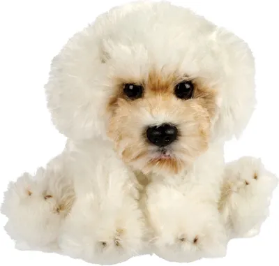Produktbild von Suki 12176 Malteser Hund 15 cm Kuscheltier Kollektion Suki Classic